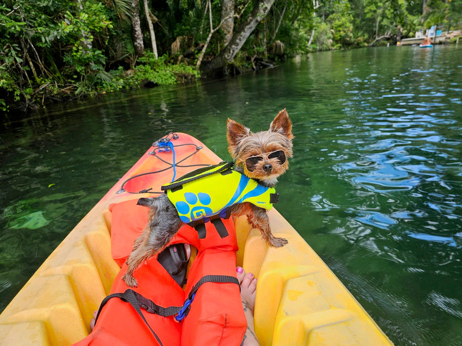 A small dog wearing sunglasses and a bright yellow life vest sits at the front of a yellow kayak on a river, with an orange life jacket underneath and lush green trees along the water's edge.