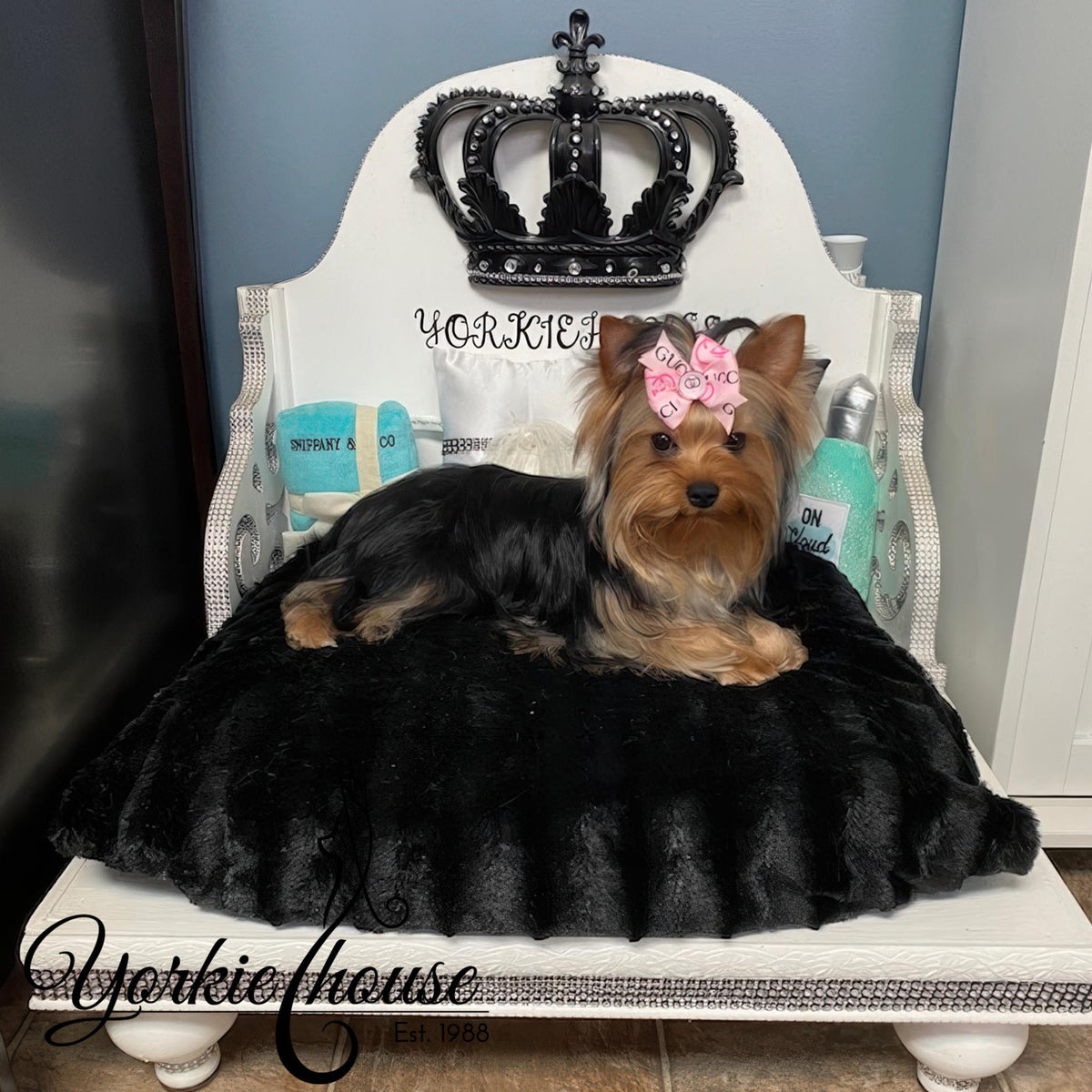 A small Yorkshire Terrier dog wearing a pink bow sits on a plush black pet bed placed on a white throne-style pet chair. The scene is indoors with a blue-gray wall and decorative crown motif on the chair back.