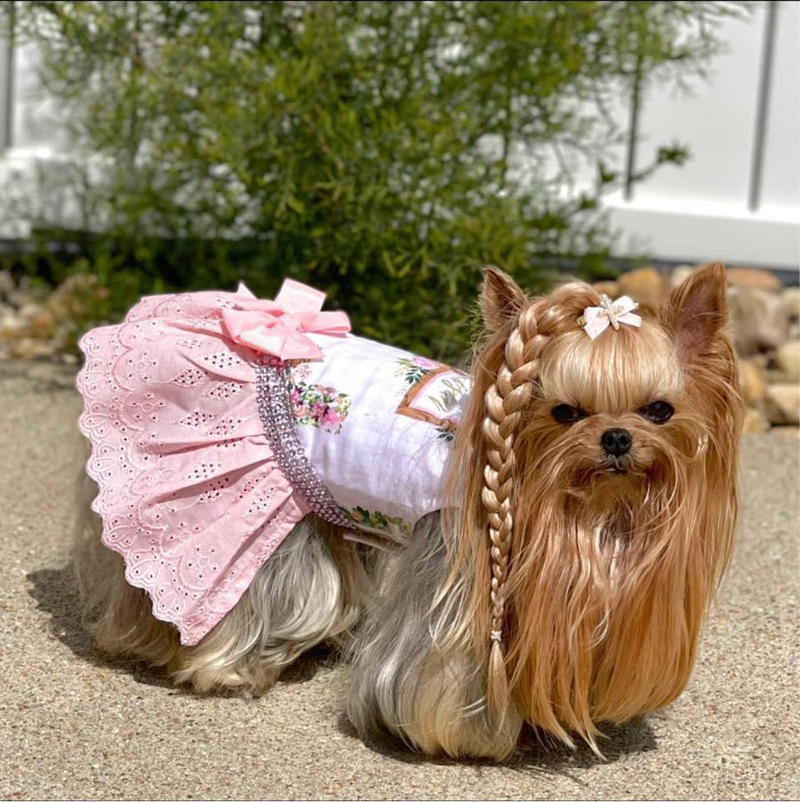 A small Yorkshire Terrier dog wearing a pink lace pet dress with a white floral bodice and braided hair accessories, standing outdoors on a gravel surface with greenery in the background.
