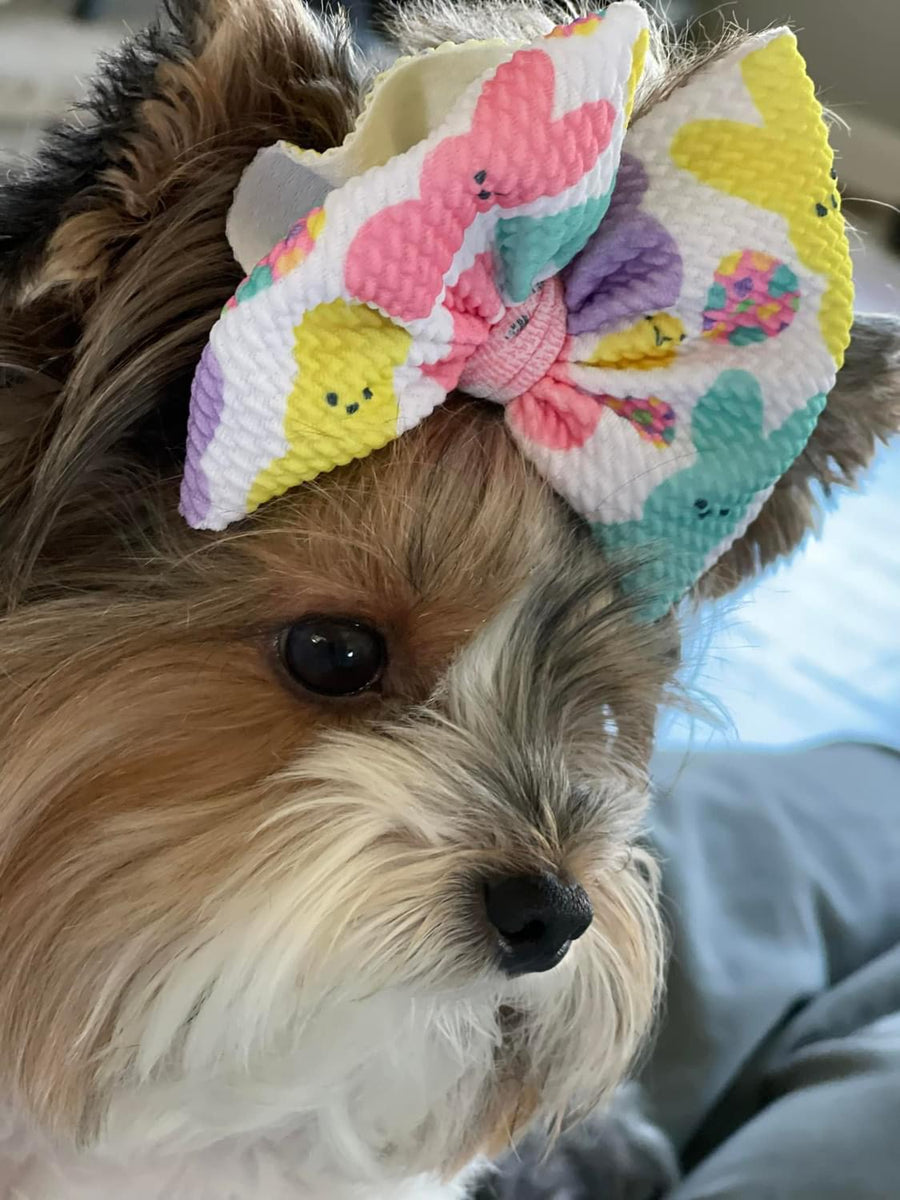 A close-up of a small dog wearing a large pastel bow headband with bunny and flower patterns. The dog has tan and white fur, and the bow features pink, yellow, teal, and purple colors on a white base.