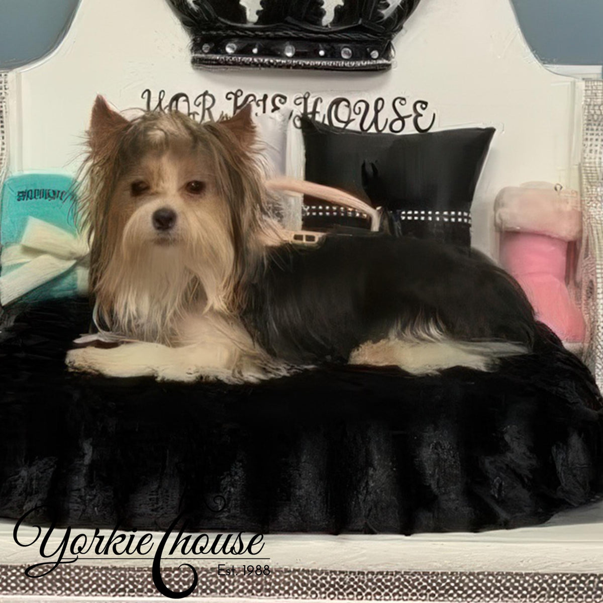 A small long-haired dog lies on a black plush pet bed placed on a white chair with decorative pillows and a crown-shaped headrest. The brand name Yorkie House is visible on the chair and as a watermark.