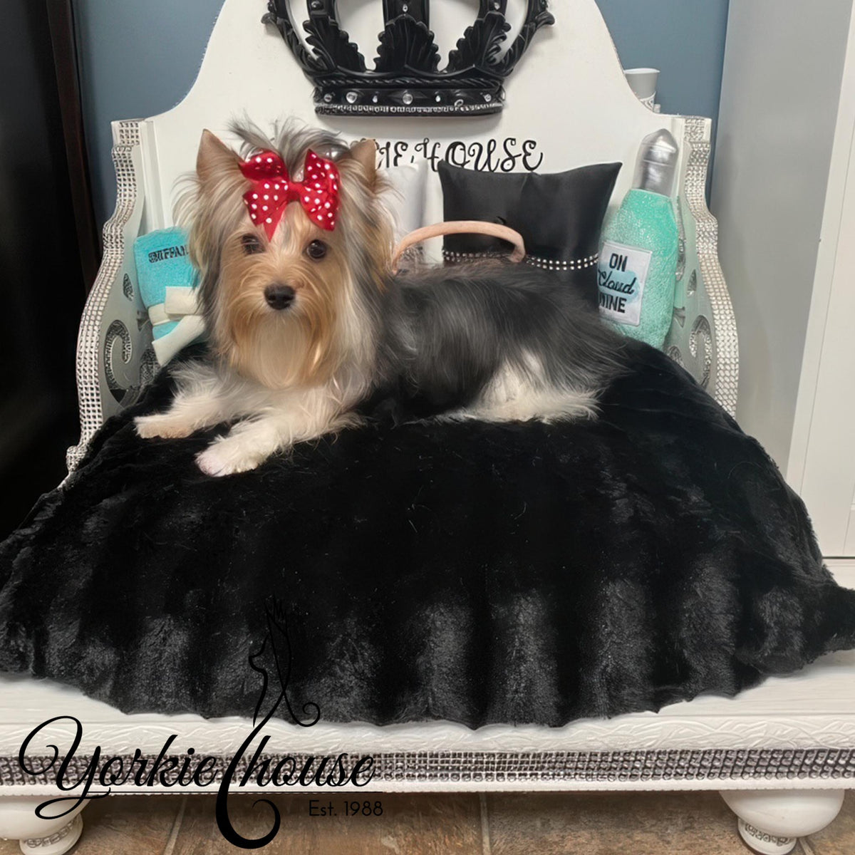 A small Yorkshire Terrier dog lies on a plush black faux-fur pet bed placed on a white ornate chair. The dog wears a red polka-dot bow.