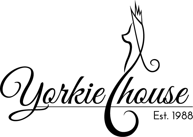 Black script logo reading 'Yorkie house' with a stylized cat silhouette and 'Est. 1988' on a white background.