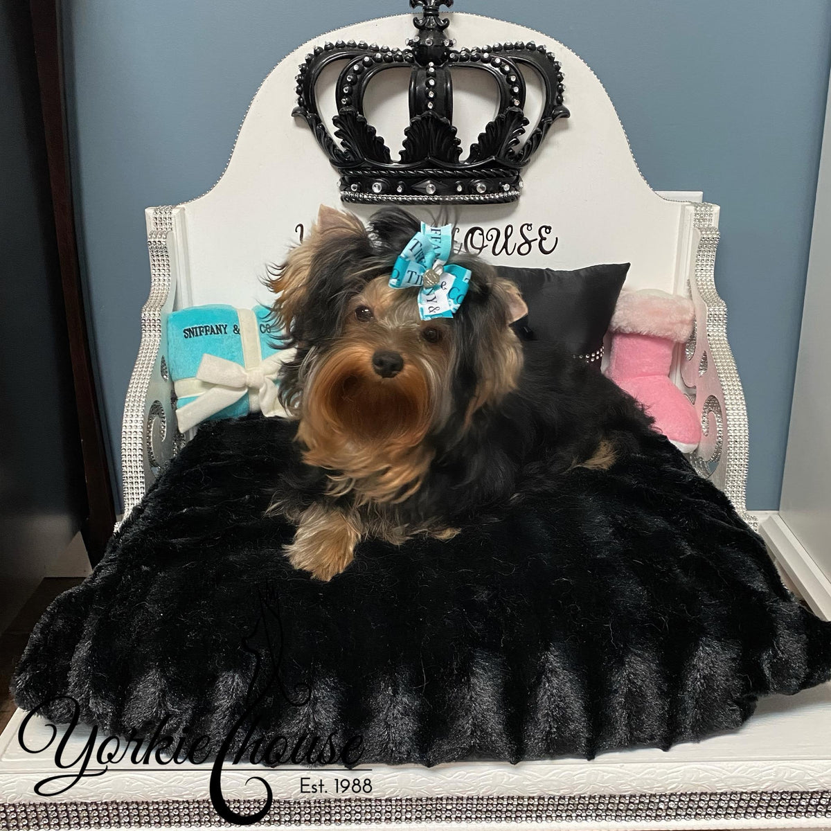 A small Yorkshire Terrier sits on a black faux fur pet bed placed on a white throne-style chair with a black crown headboard. The dog wears a blue collar tag.