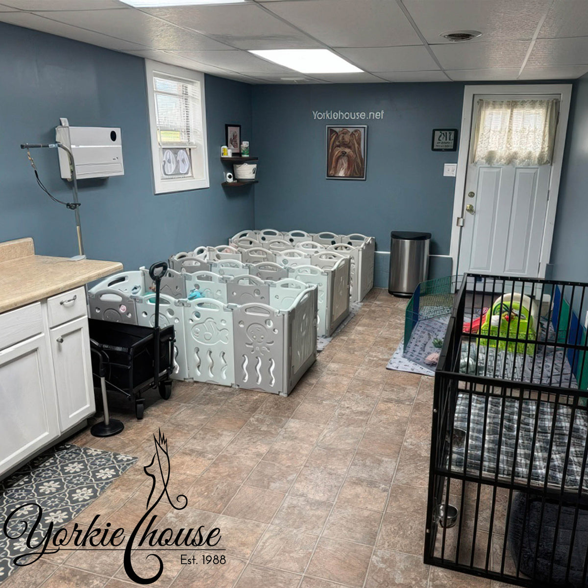 An indoor room with blue walls and tiled flooring, showing a series of light gray plastic pet playpens arranged in rows. A black metal pet crate is visible on the right, along with a counter, sink, trash can, and a white door.